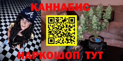 прущие грибы Жуковский