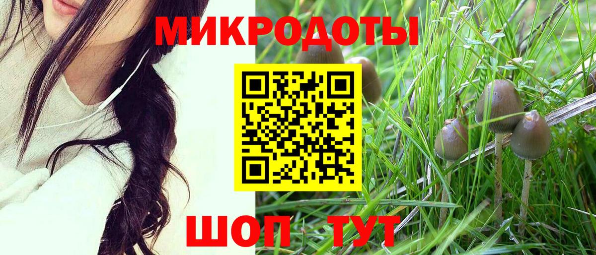 купить наркотик  Псилоцибиновые грибы Magic Shrooms  Вход с VPN  Медногорск 